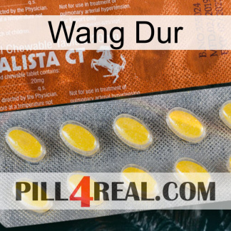Hard Wang 42